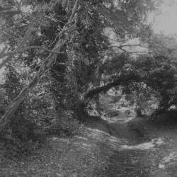 Misanthropic Euphoria